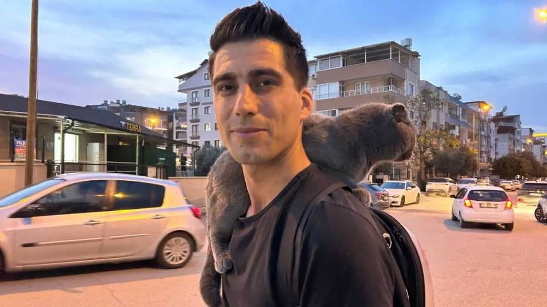 Hatay’da Omuzda Şehri Turlayan Kedi Kentin Maskotu Oldu! 7